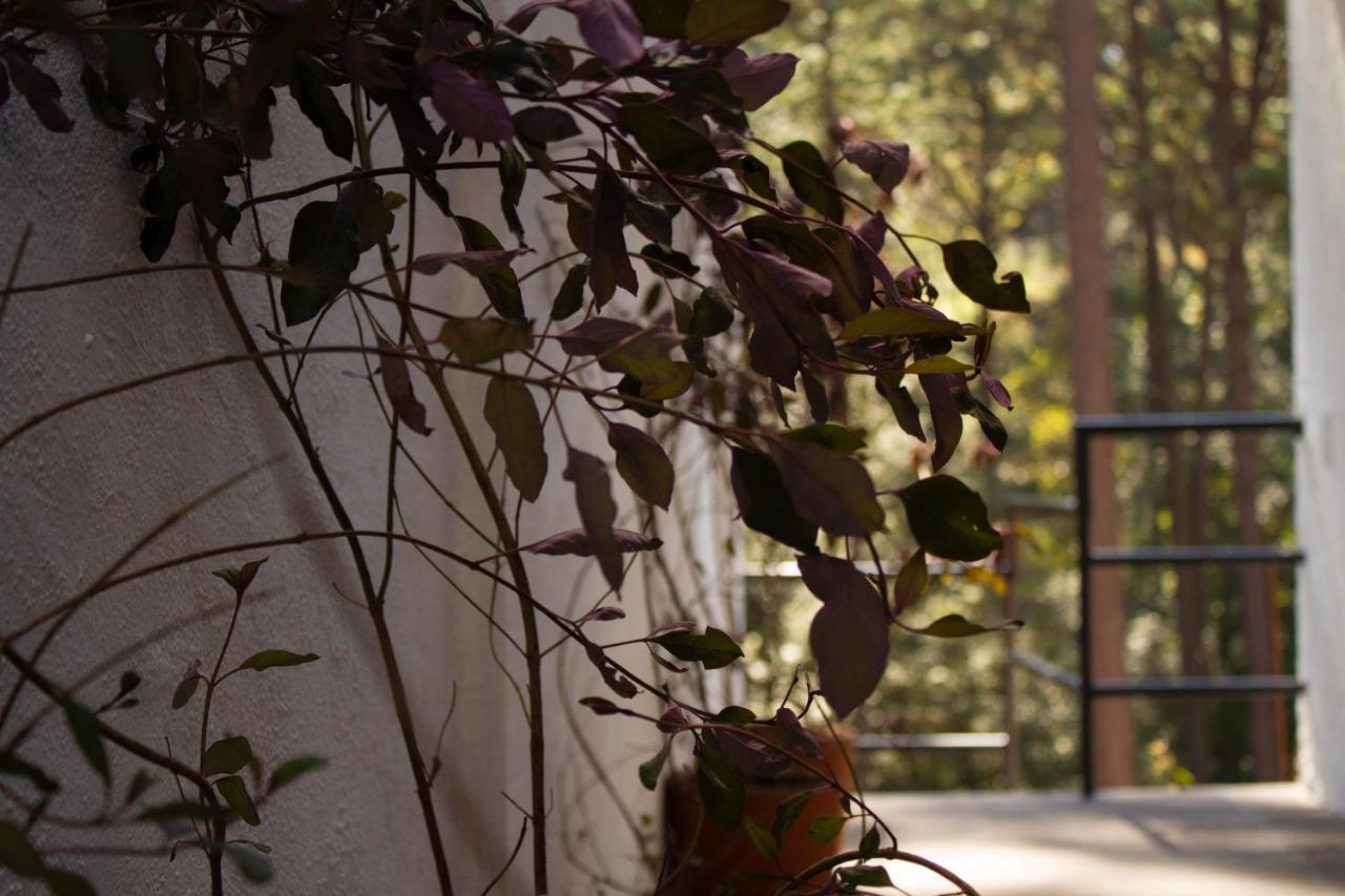 Encino House Villa Valle de Bravo Dış mekan fotoğraf